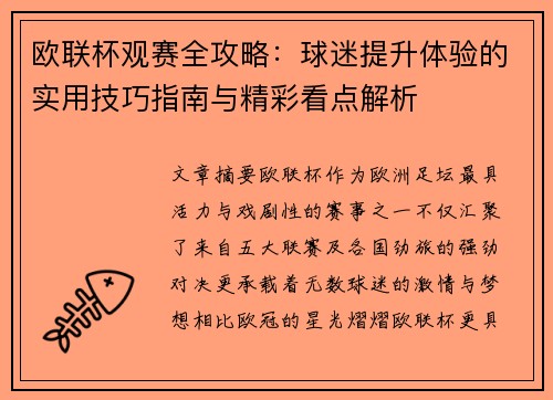 欧联杯观赛全攻略：球迷提升体验的实用技巧指南与精彩看点解析